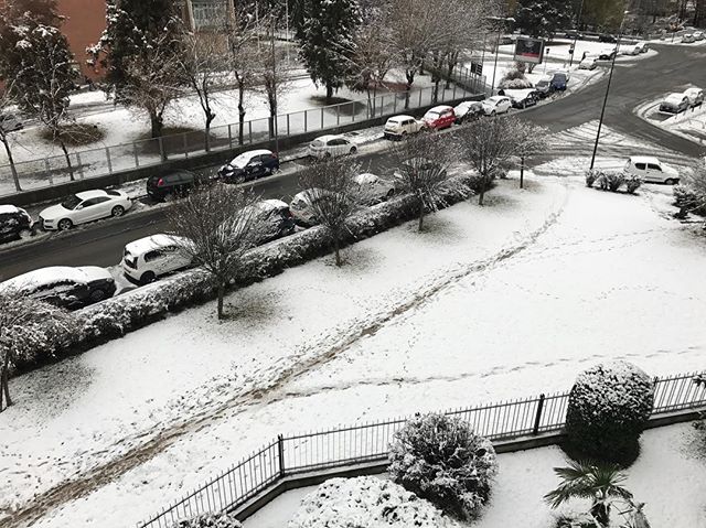 neve Torino