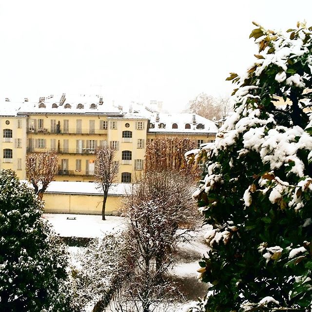 neve Torino
