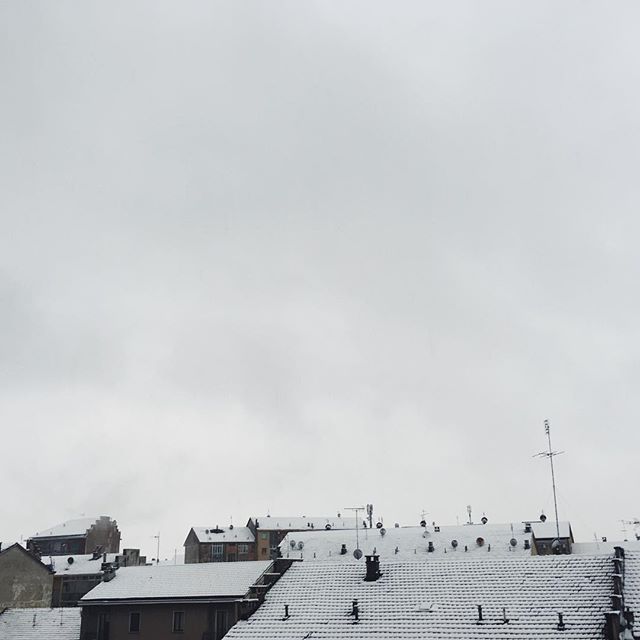 neve Torino