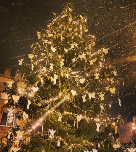 neve treviso