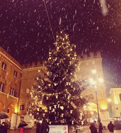 neve treviso