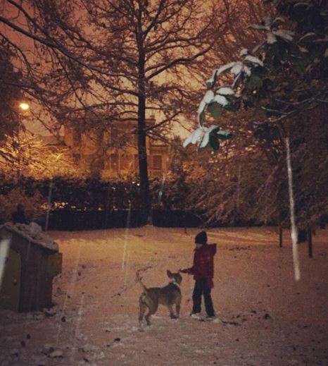 neve treviso