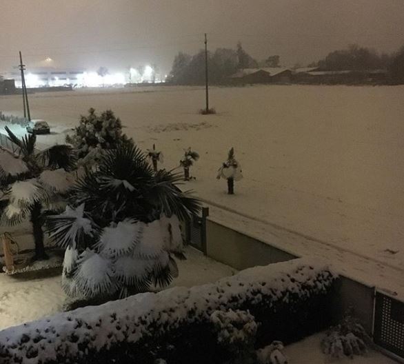 neve treviso