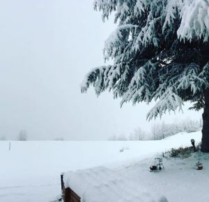 Neve valle d'aosta 1