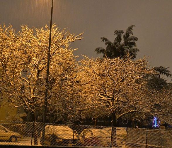 neve verona