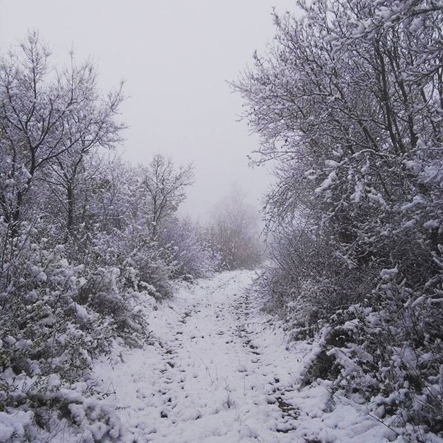 neve Norcia