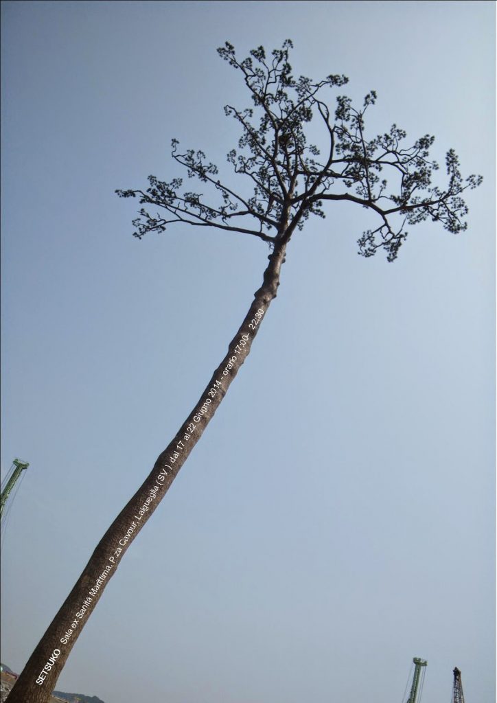 pino miracoli giappone fukushima