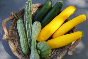 zucchine