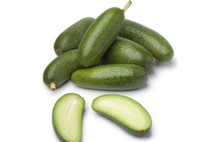 Avocado nuova varietà