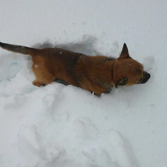 Neve Spagna