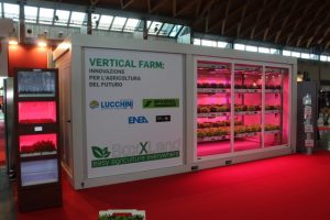 BoxXland a McFrut 2017