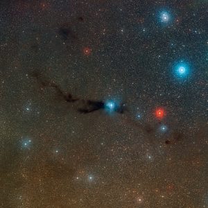 Lupus 3