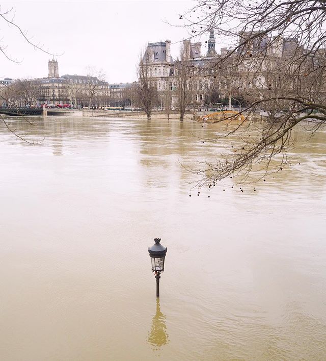 Parigi Senna