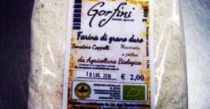 farina gorfini