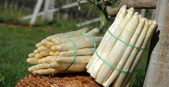 asparago bianco