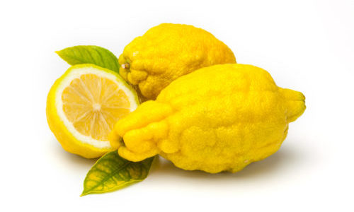 cedro