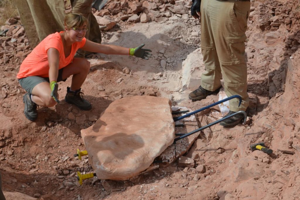 fossile massospondilo