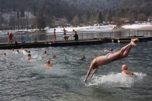 tuffo della merla