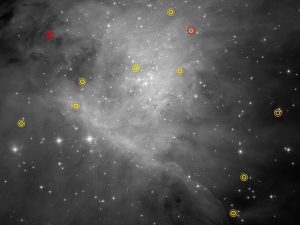 nane brune nebulosa orione