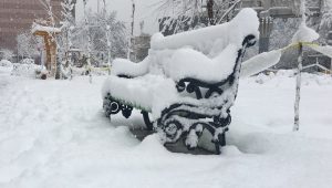 neve Teheran, Iran