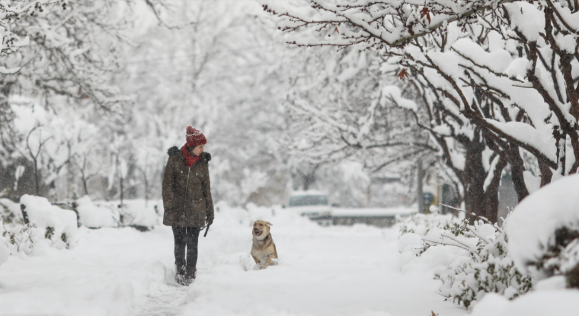 neve Teheran, Iran