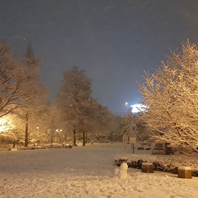 neve Tokyo Giappone
