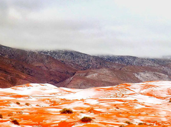 neve ain sefra algeria