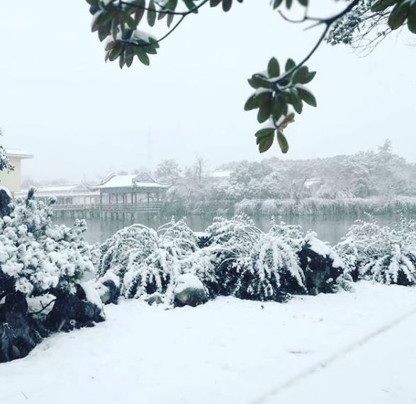 neve cina