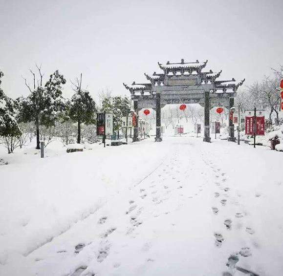neve cina