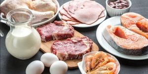 vitamina b 12
