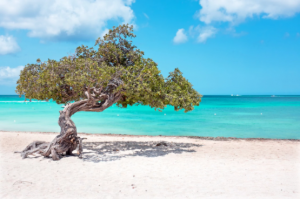 Aruba