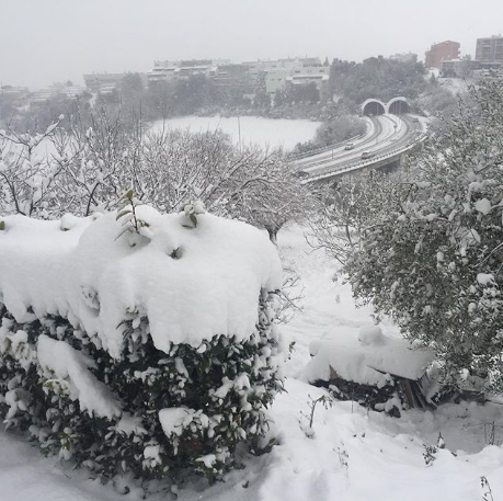 neve ancona burian