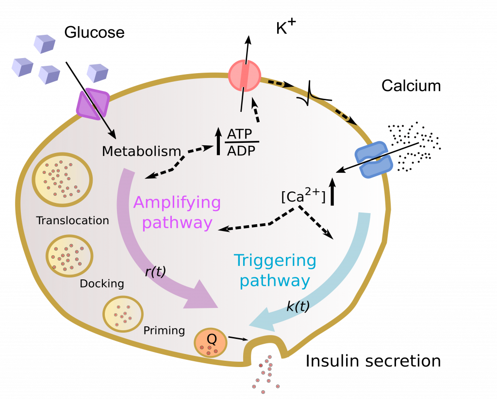 diabete