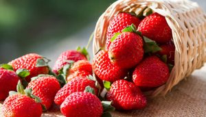 fragole