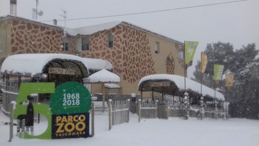 Parco Zoo Falconara