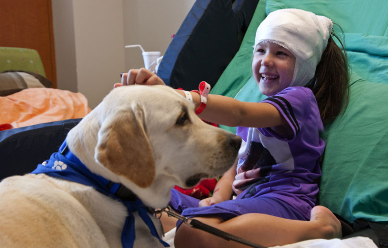 Pet therapy