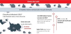 Cimici dei letti