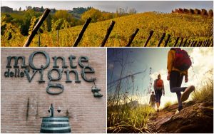 Monte delle Vigne