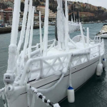 Burian, freddo incredibile nel medio e alto Adriatico: il mare sta congelando! DATI e FOTO in diretta