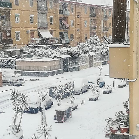 Napoli Burian Neve