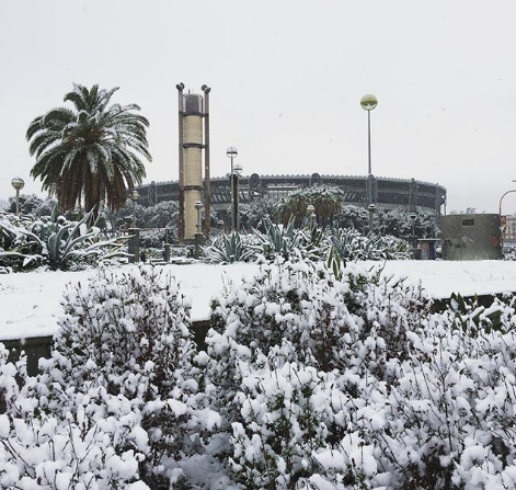 Napoli Burian Neve