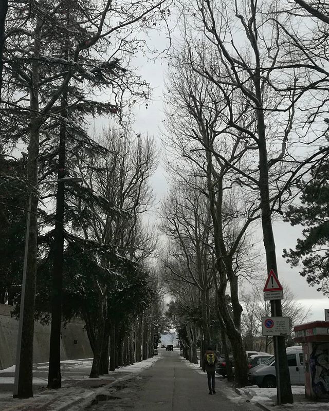 Neve Urbino Marche
