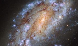 Ngc 1559