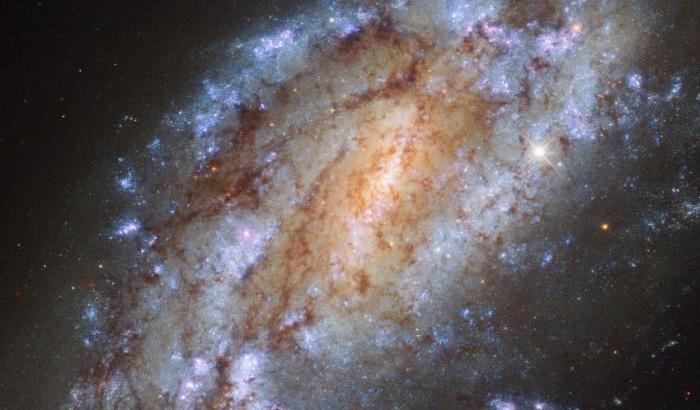 Ngc 1559