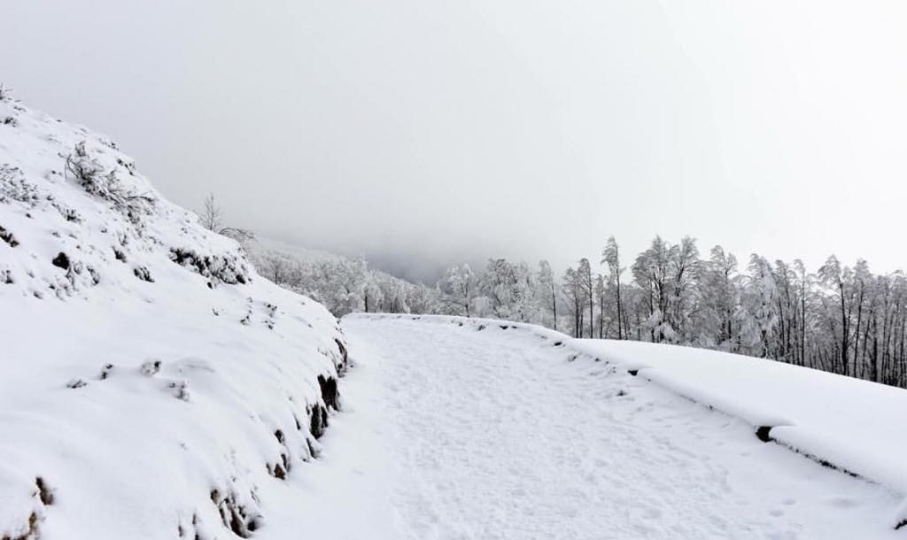 Passo delle Radici