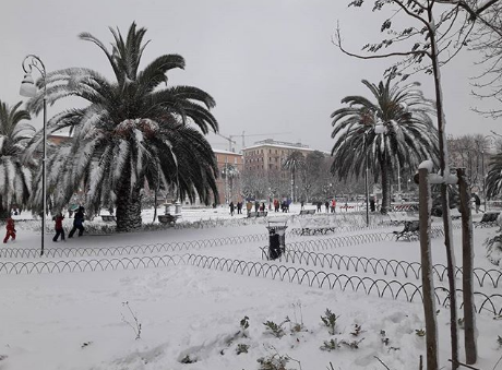 neve ancona burian