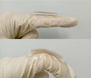 energia elettrica corpo umano