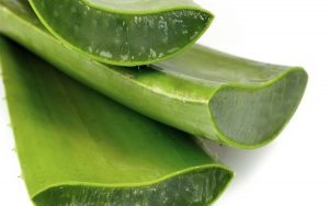 gel aloe