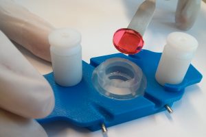 laboratorio ahluwalia