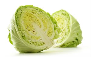 Cavolo verza